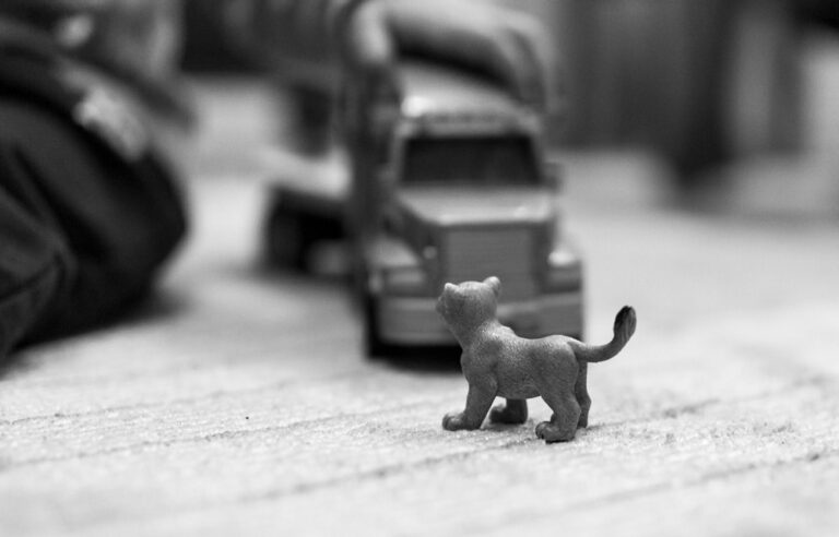 Zabawkowa ciężarówka i mały plastikowy kotek