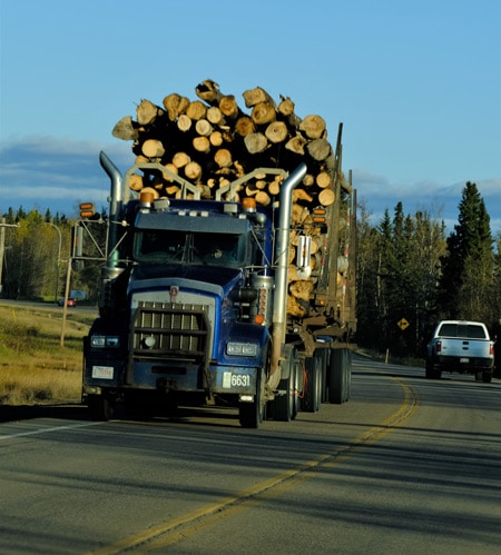ciężarówka z pniami drzew
